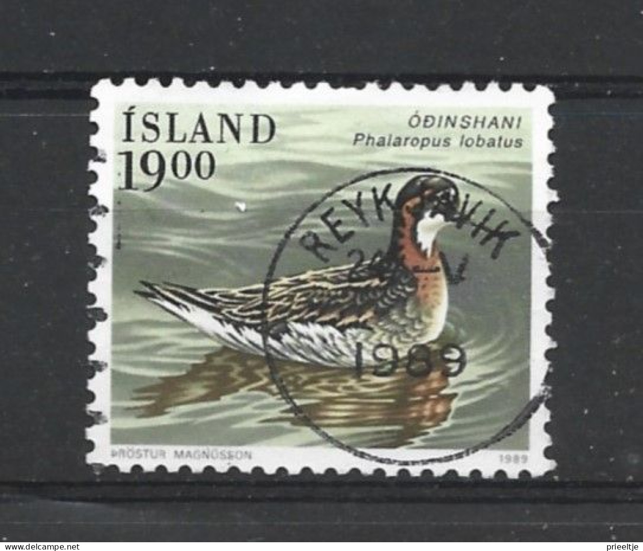 Iceland 1989 Bird Y.T. 650 (0) - Usati