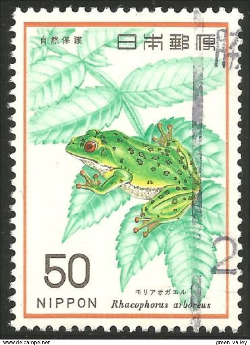 526 Japon Grenouille Frog Kikker Rana Frosch (JAP-581) - Grenouilles