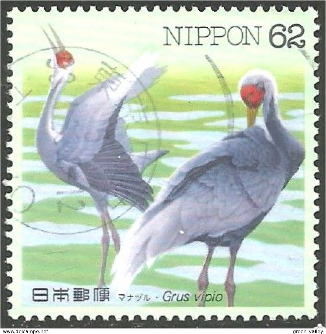 526 Japon Crane Grue Egret (JAP-519) - Aves Gruiformes (Grullas)