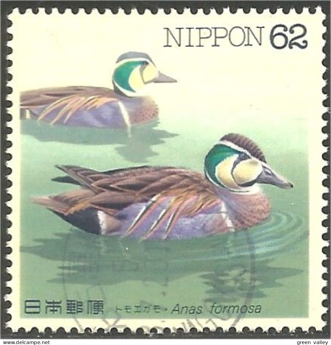 526 Japon Canard Duck Ente Pato (JAP-526) - Canards