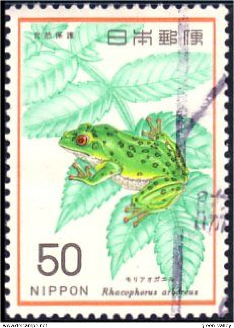 526 Japon Grenouille Frog (JAP-396) - Frogs