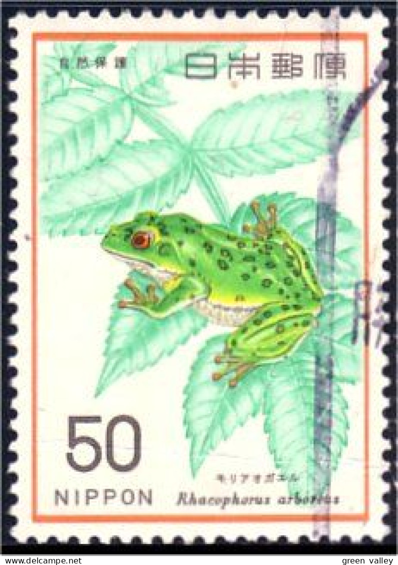 526 Japon Grenouille Frog (JAP-395) - Grenouilles