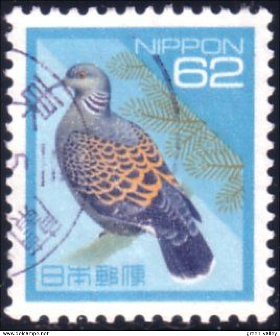 526 Japon Pigeon Tourterelle Pidgeon (JAP-362) - Piccioni & Colombe