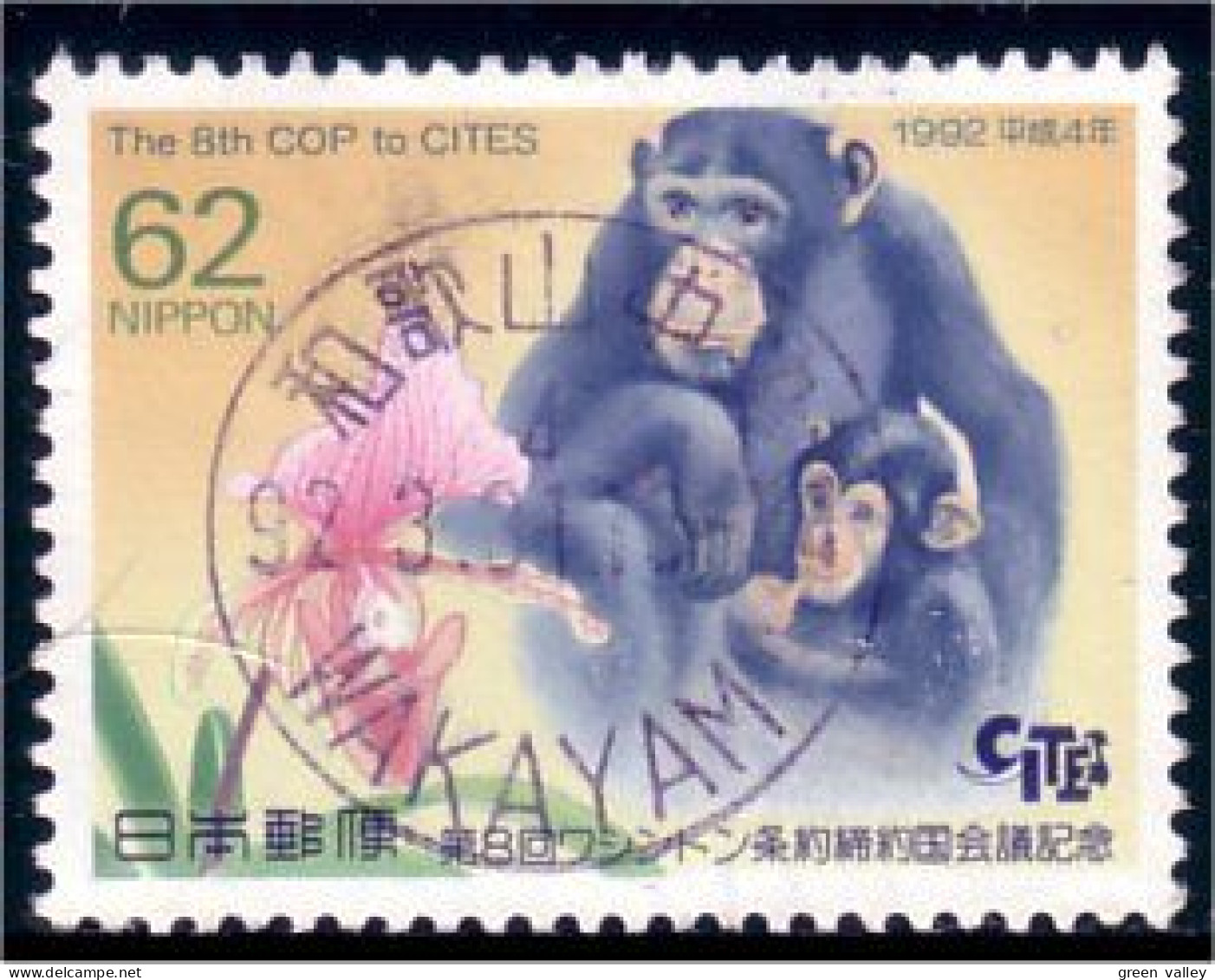 526 Japon Singe Monkey Ape (JAP-250) - Affen