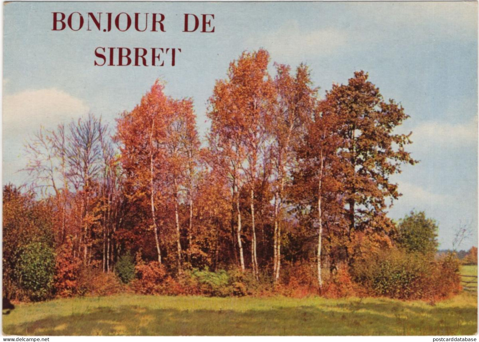 Bonjour De Sibret - Vaux-sur-Sûre