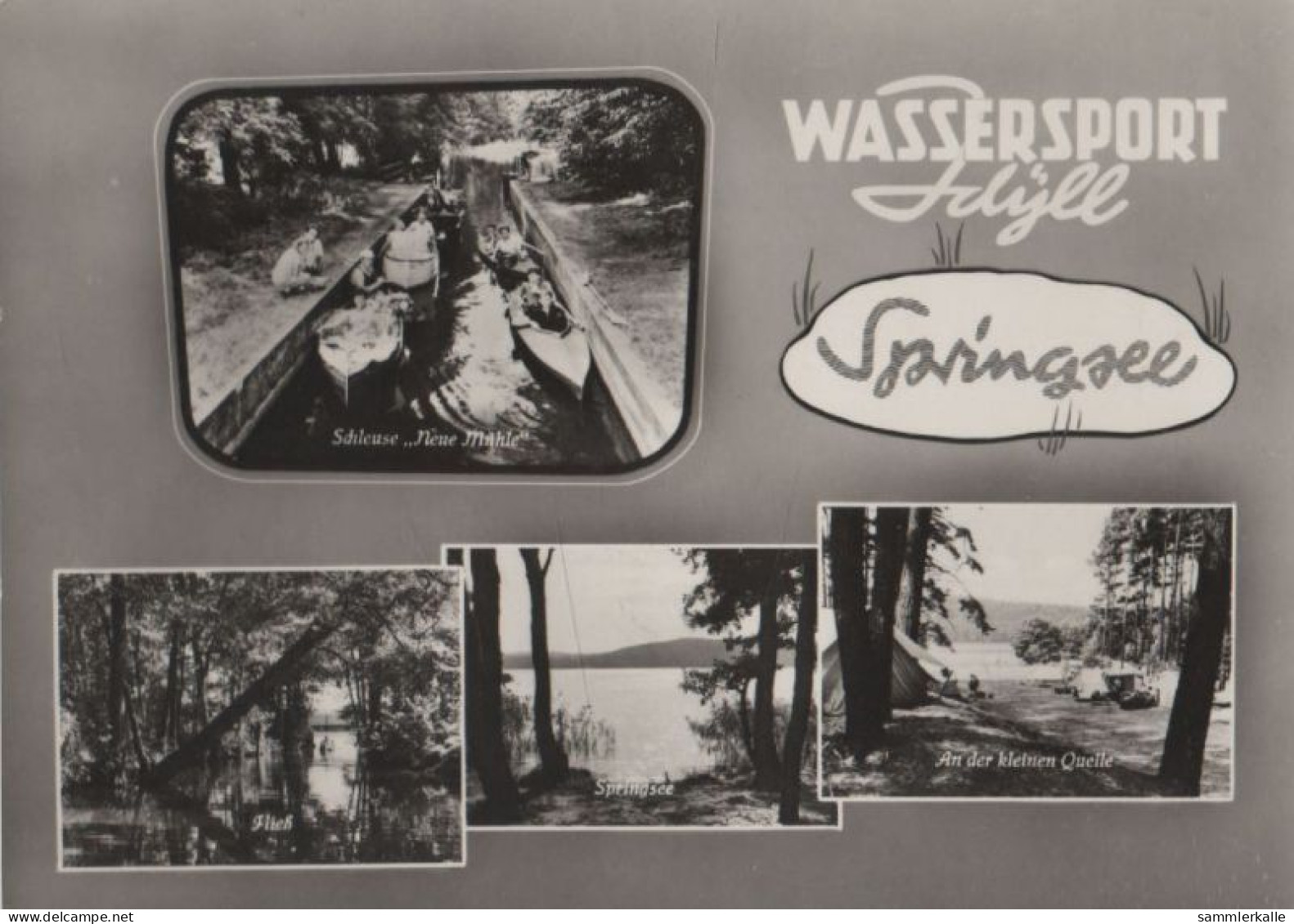 80509 - Wendisch Rietz - Wassersport-Idyll Springsee - 1968 - Beeskow