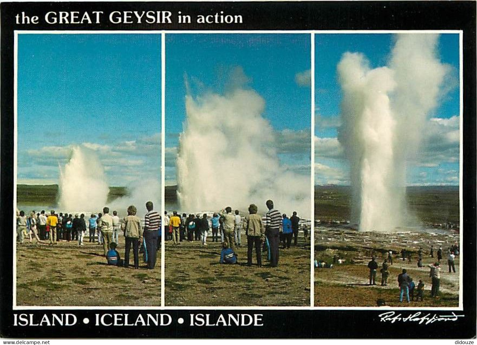 Islande - The Great Geysir In Action, Sprouting Hof Water Der And Steam 50-60 M High - Geysers - Carte Neuve - Iceland - - Islande