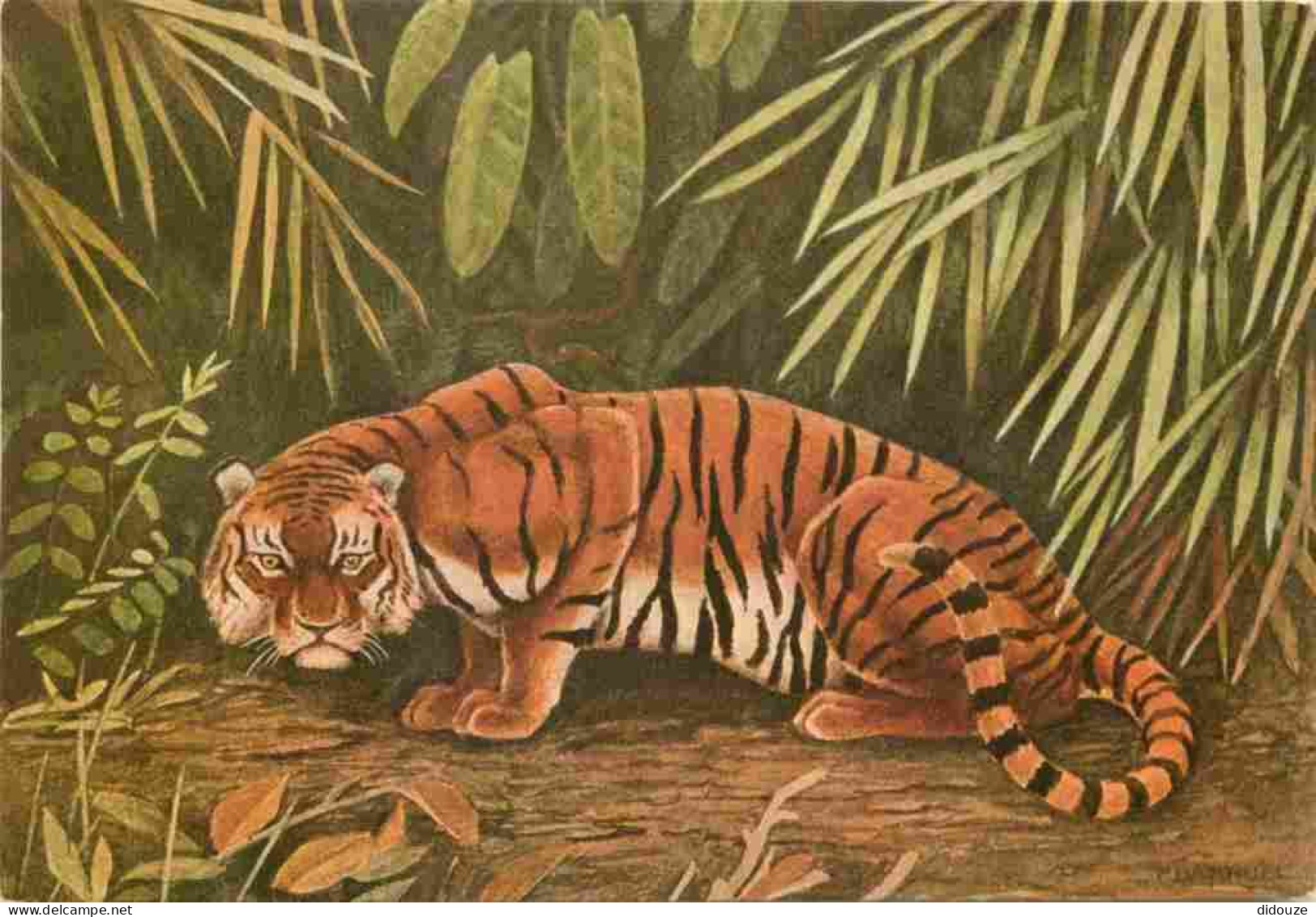Animaux - Fauves - Tigre - Tiger - Art Peinture - Illustration De P Barruel - CPM - Carte Neuve - Voir Scans Recto-Verso - Tiger