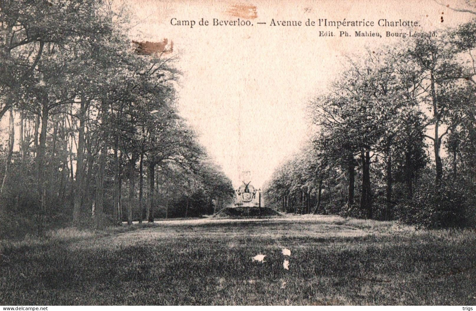 Camp De Beverloo - Avenue De L'Impératrice Charlotte - Leopoldsburg (Camp De Beverloo)
