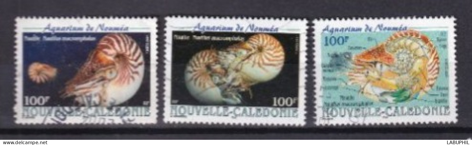 NOUVELLE CALEDONIE Dispersion D'une Collection Oblitéré Used 2001 Coquillages - Used Stamps
