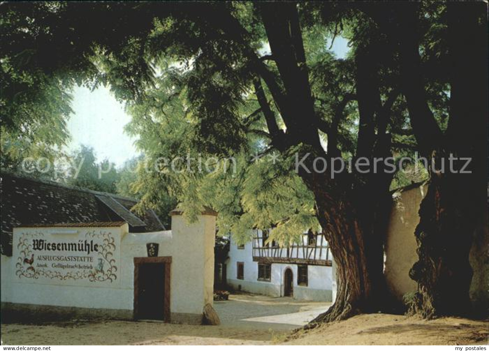 72280433 Floersheim Main Ausflugsgaststaette Wiesenmuehle Floersheim Main - Flörsheim