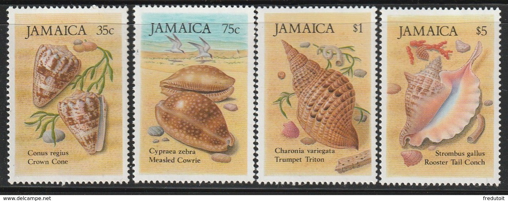 JAMAIQUE - N°661/4 ** (1987) Coquillages / Shells - Jamaica (1962-...)
