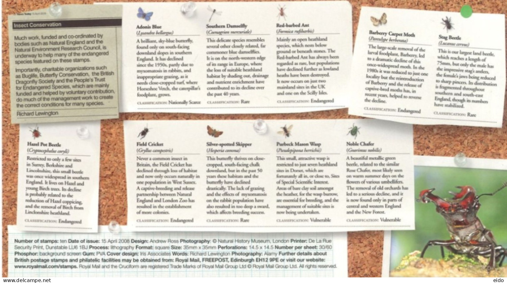 GREAT BRITAIN - 2008, FDC STAMPS OF INSECTS UK SPECIES IN RECOVERY. - Cartas & Documentos