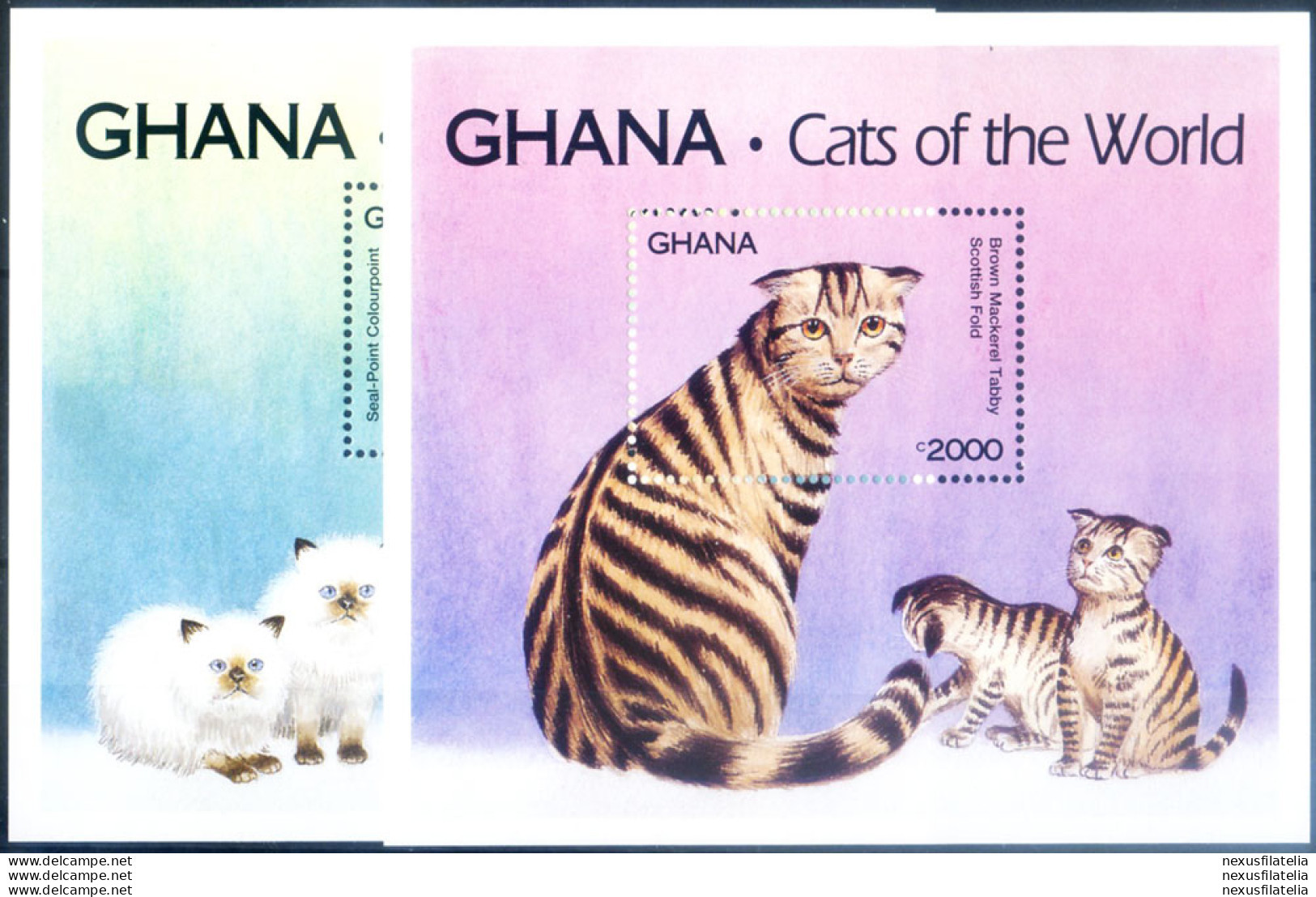 Fauna. Gatti 1994. - Ghana (1957-...)