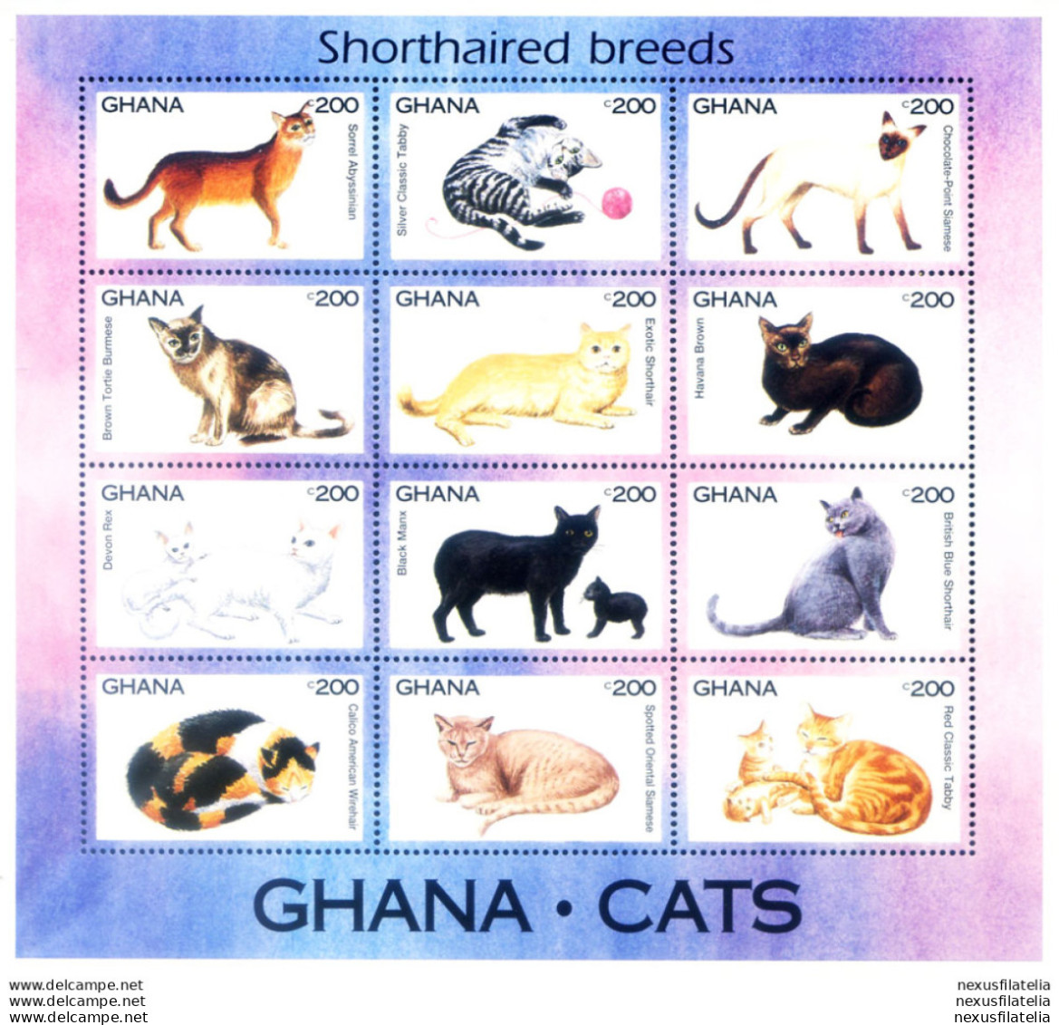 Fauna. Gatti 1994. - Ghana (1957-...)