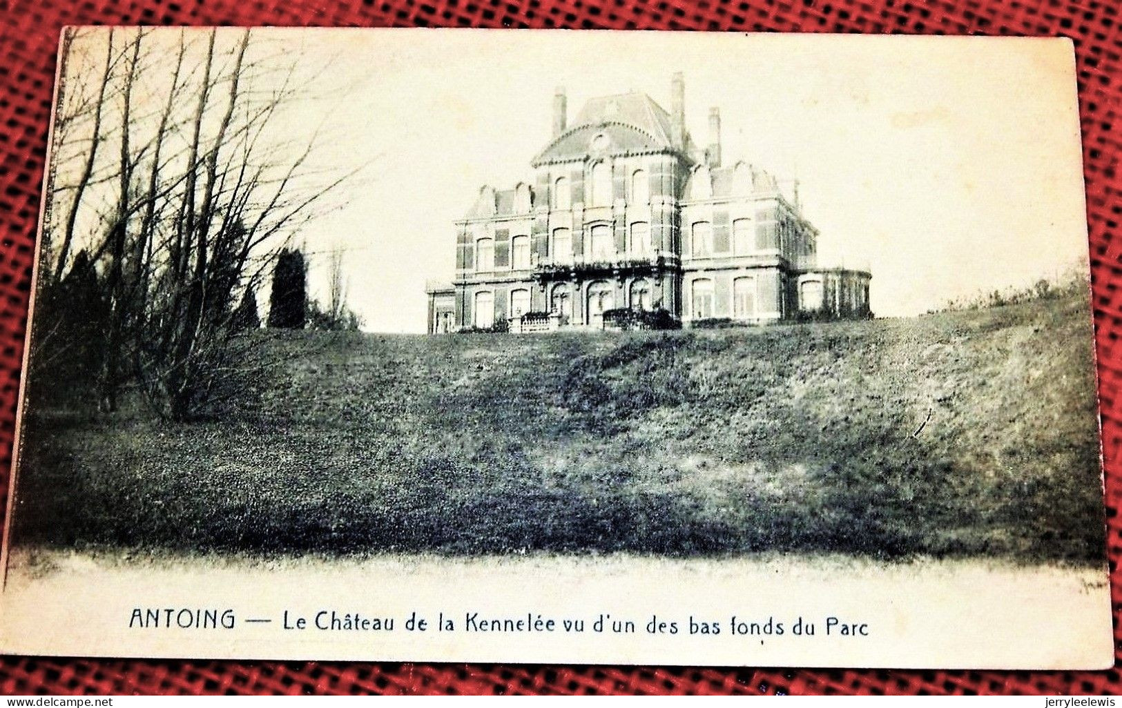 ANTOING  -  Le Château De La Kennelée Vu D'un Des Bas Fonds Du Parc - Antoing