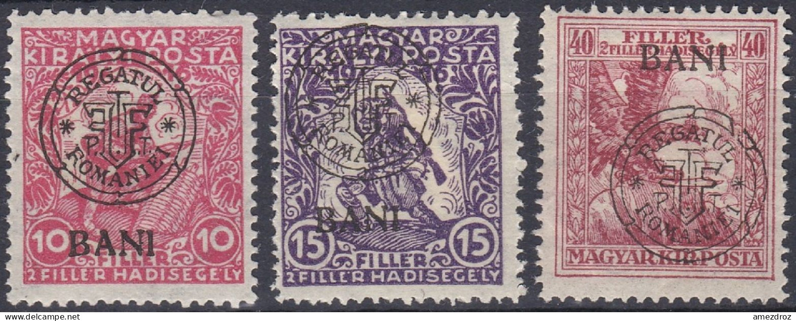 Transylvanie Cluj Kolozsvar 1919 N° 11-13 * Timbres De Bienfaisance (K14) - Siebenbürgen (Transsylvanien)