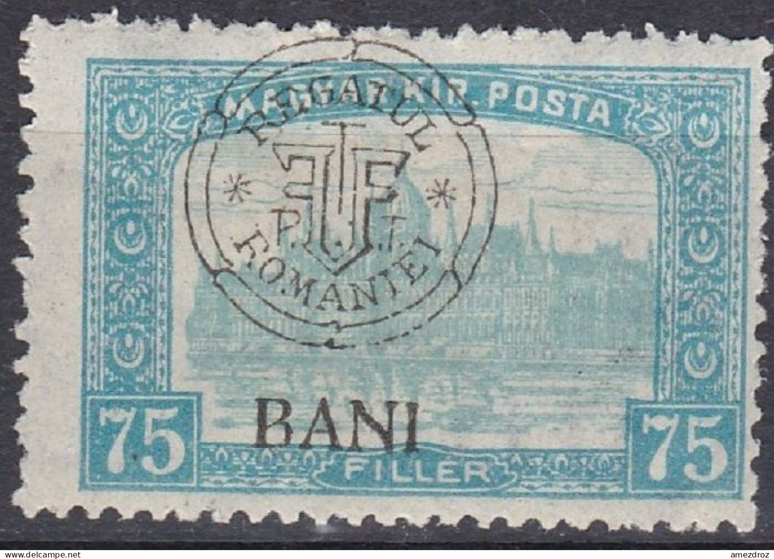 Transylvanie Cluj Kolozsvar 1919 N° 24 * Palais Du Parlement  (J20) - Transilvania