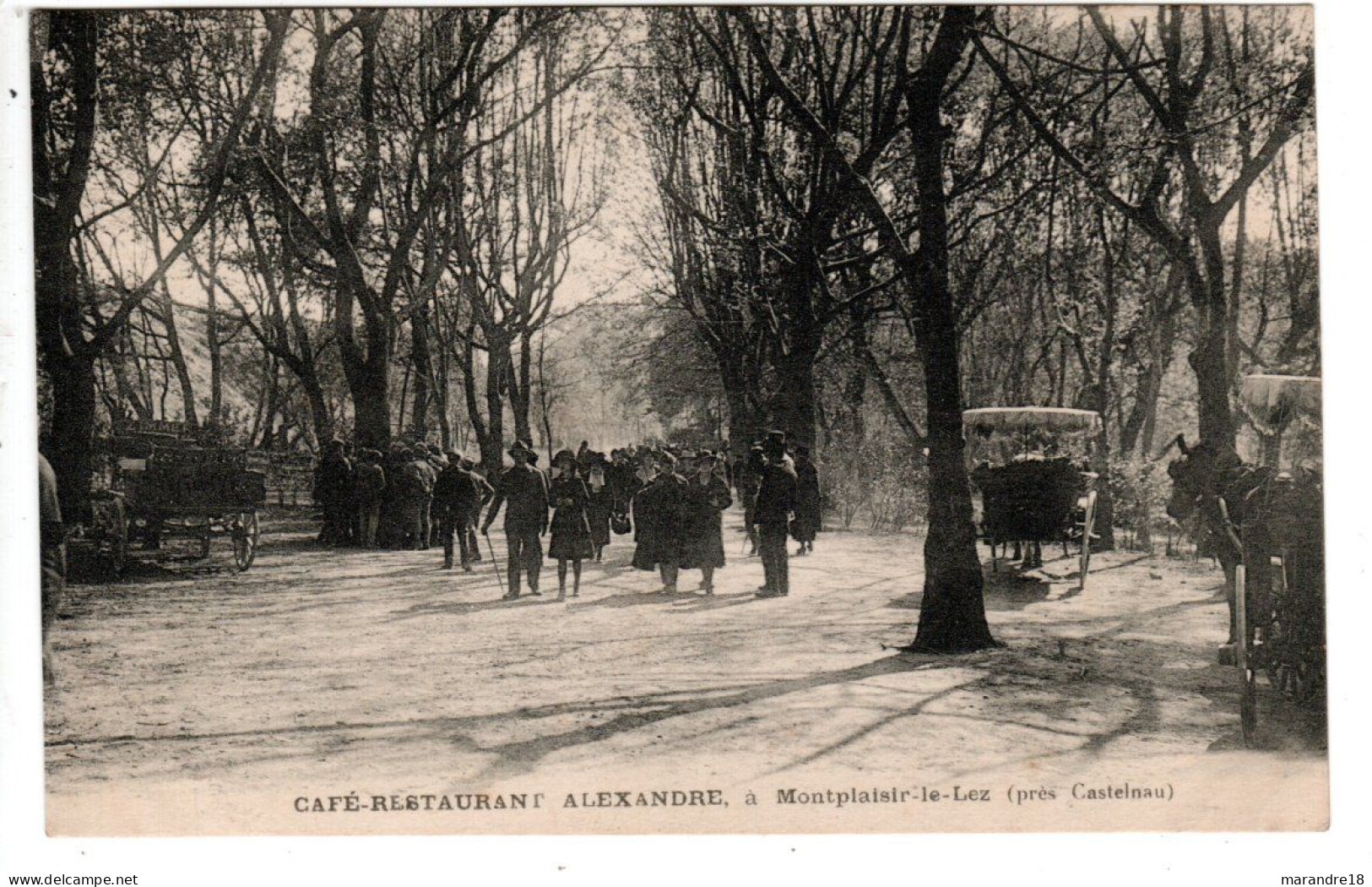 Café Restaurant Alexandre à Montplaisir Le Lez - Castelnau Le Lez