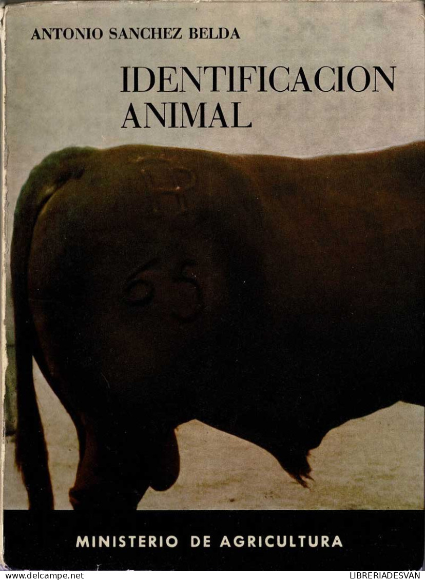 Identificación Animal - Antonio Sánchez Belda - Lifestyle