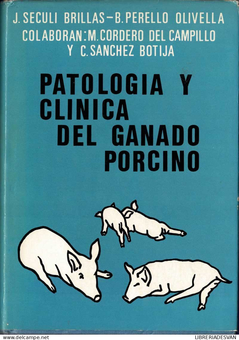 Patología Y Clínica Del Ganado Porcino - VV.AA. - Praktisch