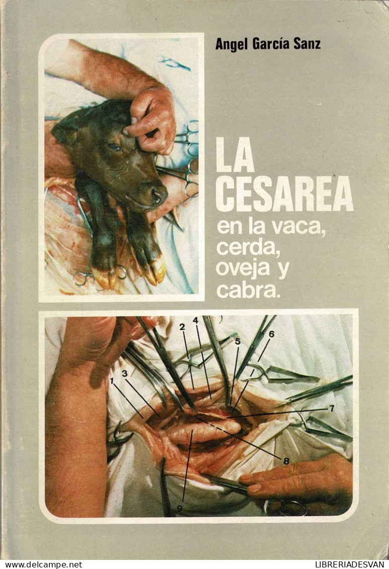 La Cesárea En La Vaca, Cerda, Oveja Y Cabra - Angel García Sanz - Practical
