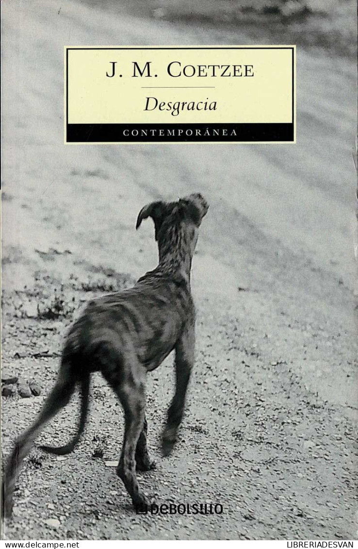 Desgracia - J. M. Coetzee - Literatura