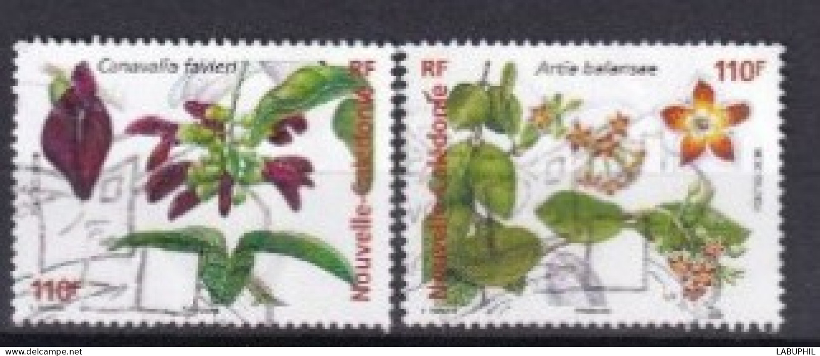 NOUVELLE CALEDONIE Dispersion D'une Collection Oblitéré Used  2006 - Used Stamps