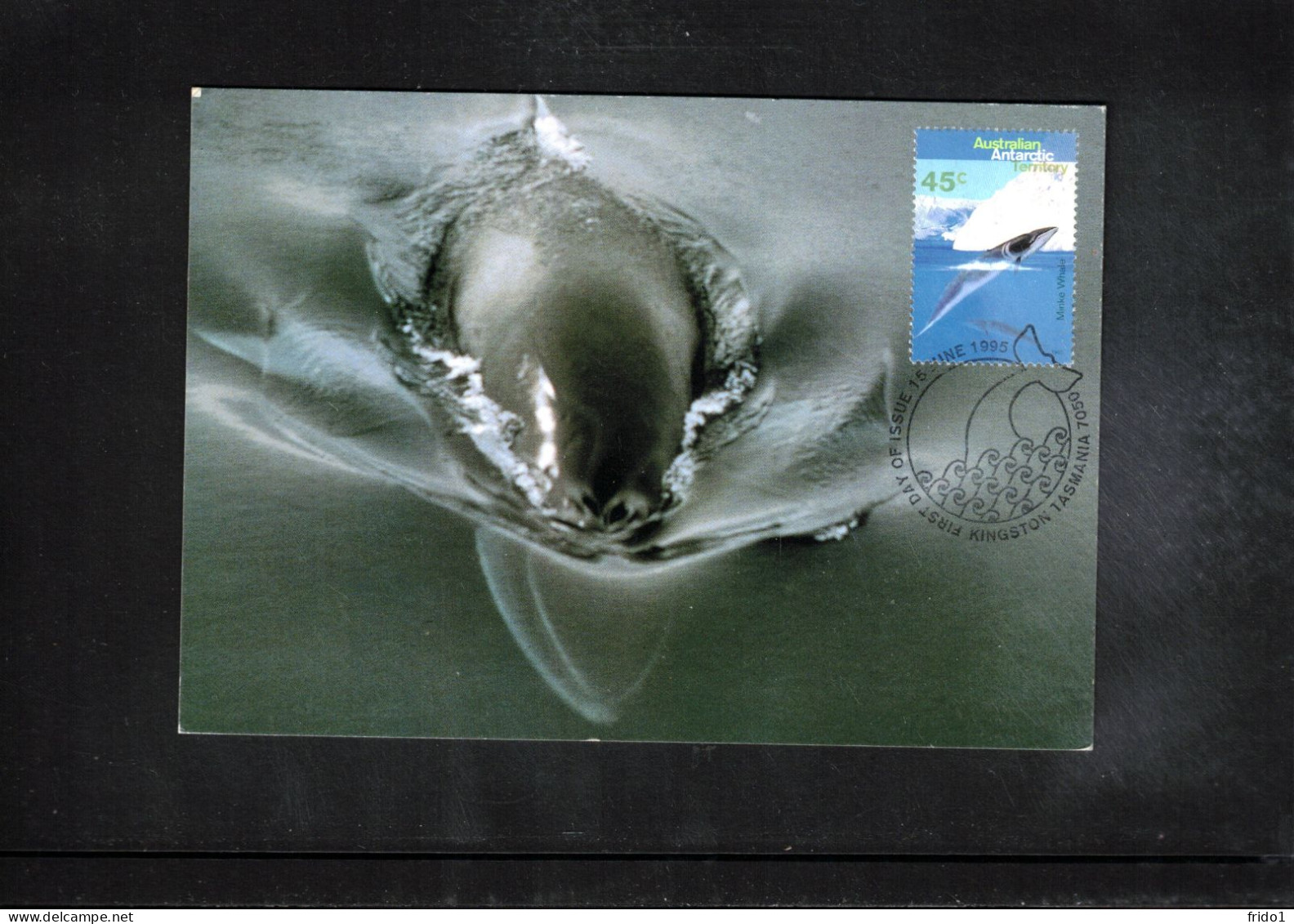 Australian Antarctic Territory 1996 Antarctica - Base Davis - Whales - Ship Polar Bird - Law Base Postmark - Bases Antarctiques