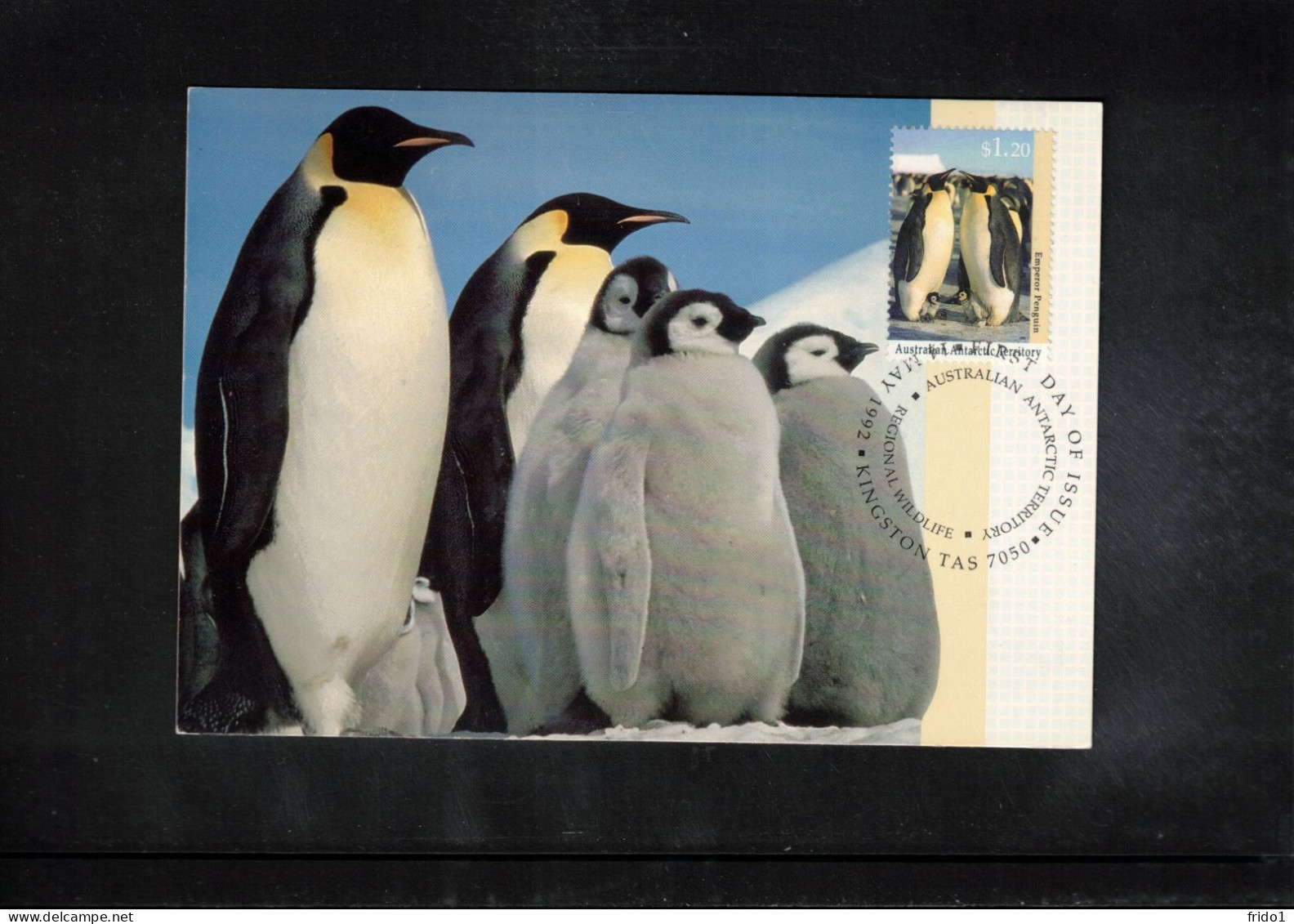 Australian Antarctic Territory 1993 Antarctica - Base Davis - Penguins - Research Stations