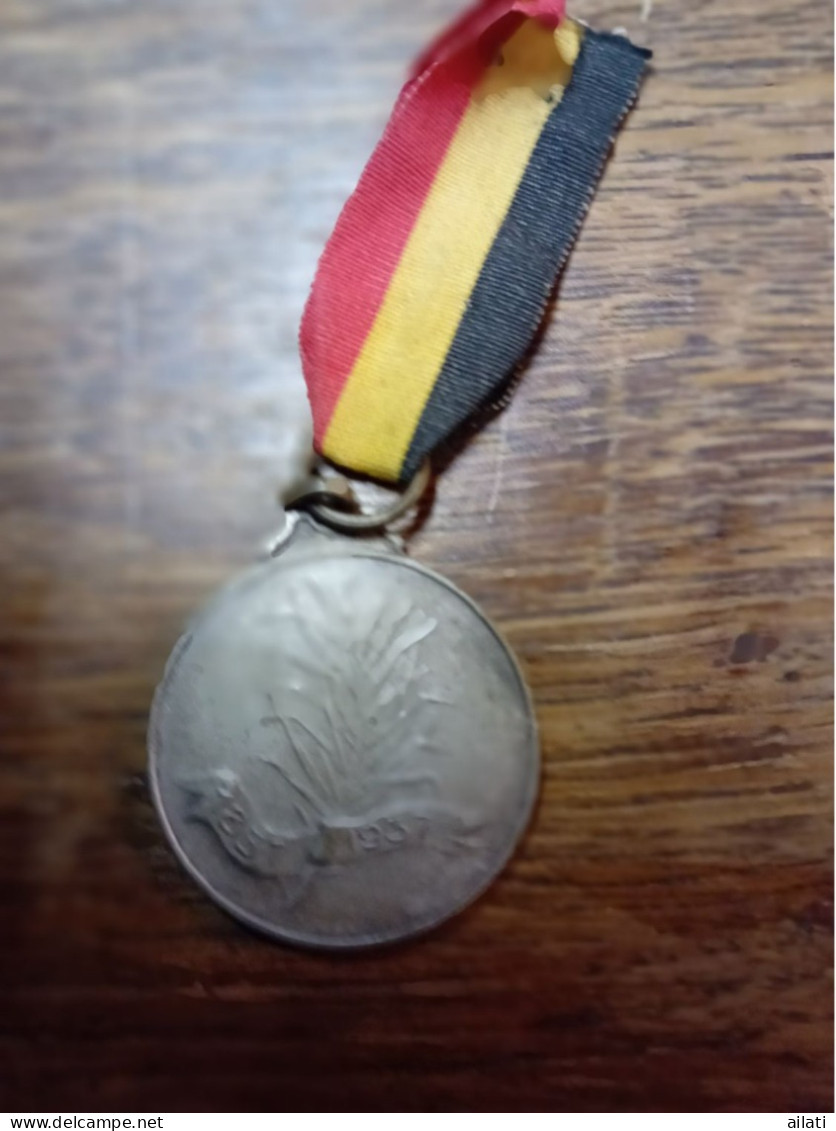 Une Médaille Usine De La Vieille Montagne - Professionali / Di Società