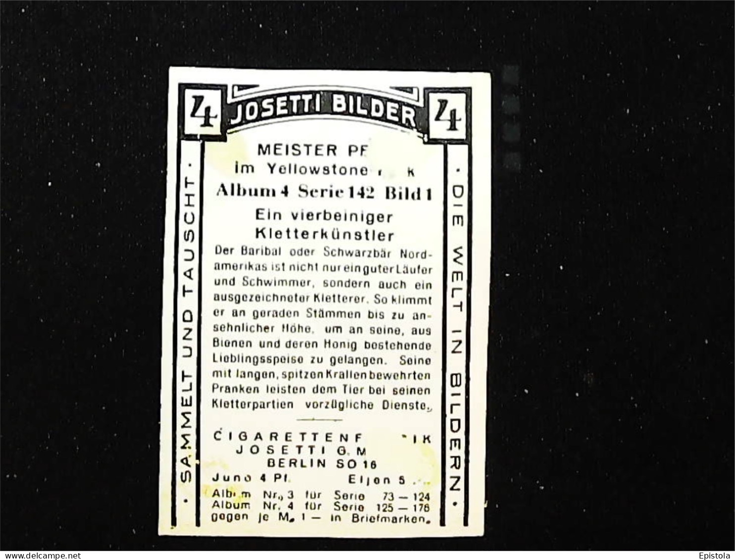 ►  Ours Noir Bear Amérique Du Nord  - Chromo-Image Cigarette Josetti Bilder Berlin Album 4 1920's - Zigarettenmarken