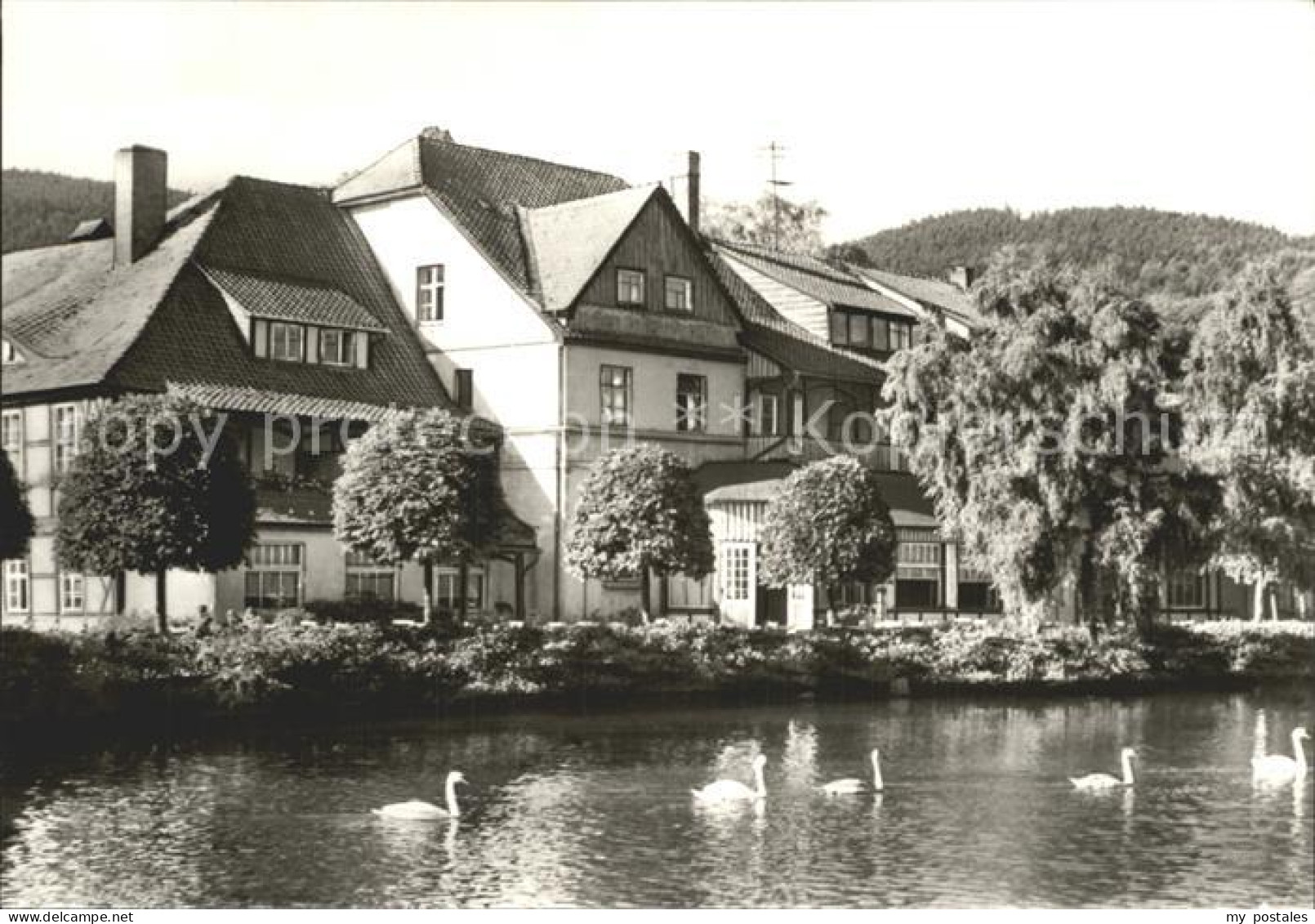 72277408 Ilsenburg Harz Forellenteich  Ilsenburg - Ilsenburg