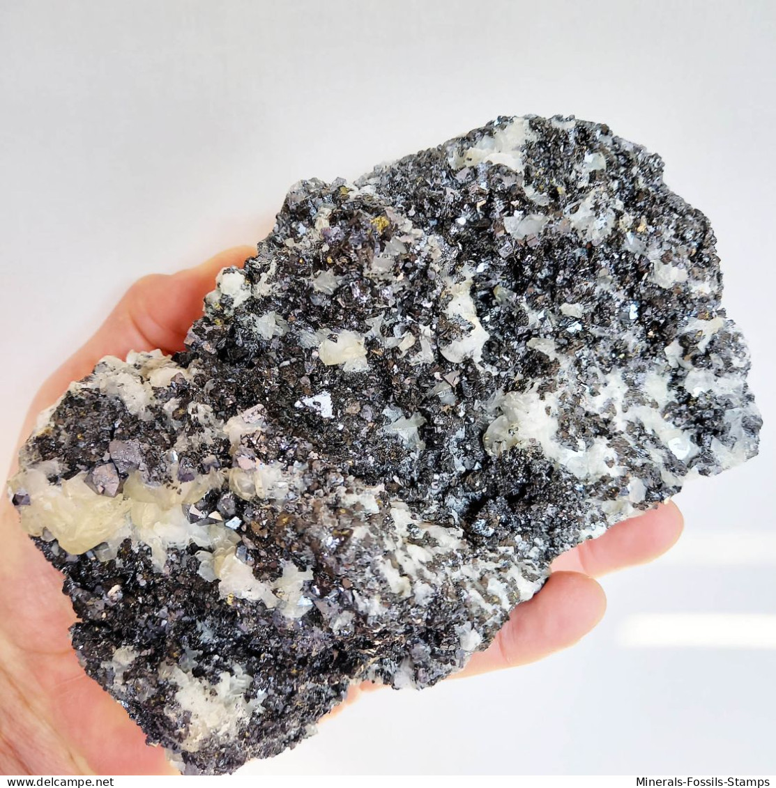 #AUG04.01 Schöne ARSENOPYRIT, CALCIT, Galenit XX (Verkhny Mine, Dalnegorsk, Primorskiy Kray, Russland) - Minerali