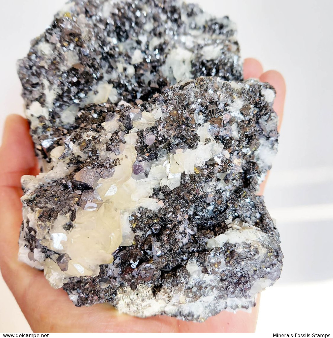 #AUG04.01 Schöne ARSENOPYRIT, CALCIT, Galenit XX (Verkhny Mine, Dalnegorsk, Primorskiy Kray, Russland) - Mineralien