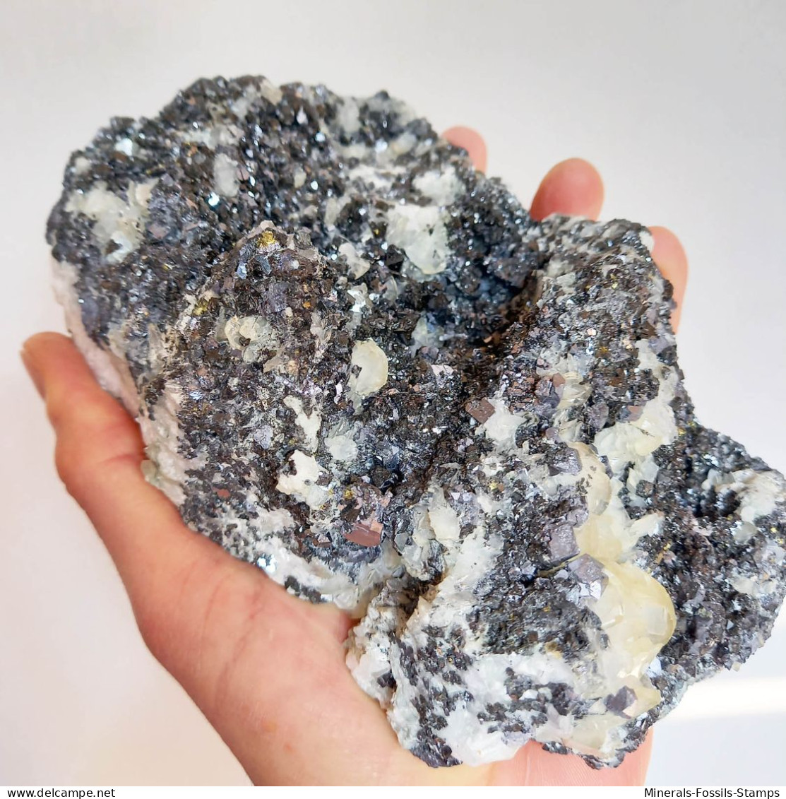 #AUG04.01 Schöne ARSENOPYRIT, CALCIT, Galenit XX (Verkhny Mine, Dalnegorsk, Primorskiy Kray, Russland) - Mineralien