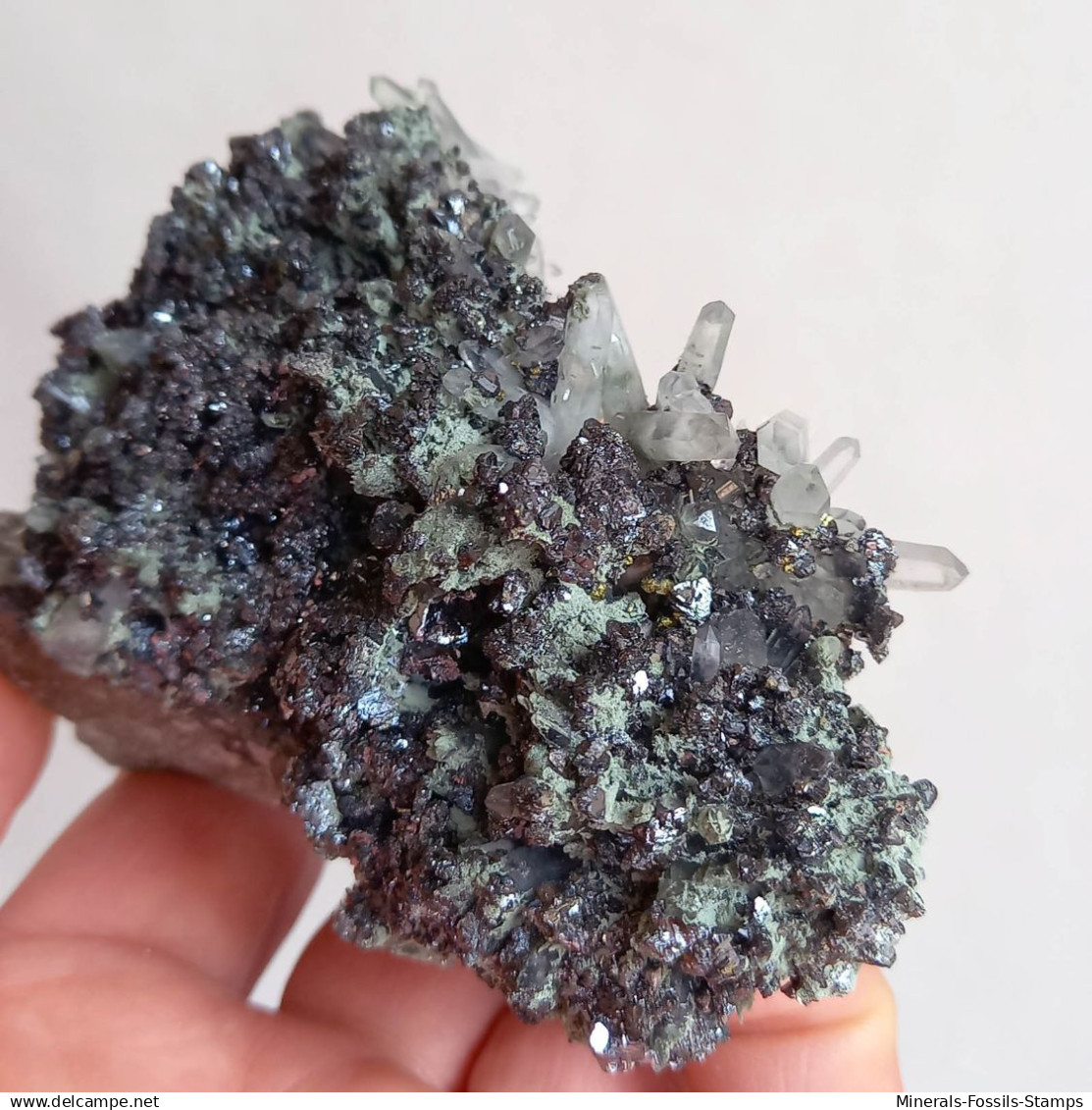 #AUG04.01 Schöne ARSENOPYRIT, CALCIT, Galenit XX (Verkhny Mine, Dalnegorsk, Primorskiy Kray, Russland) - Minerals