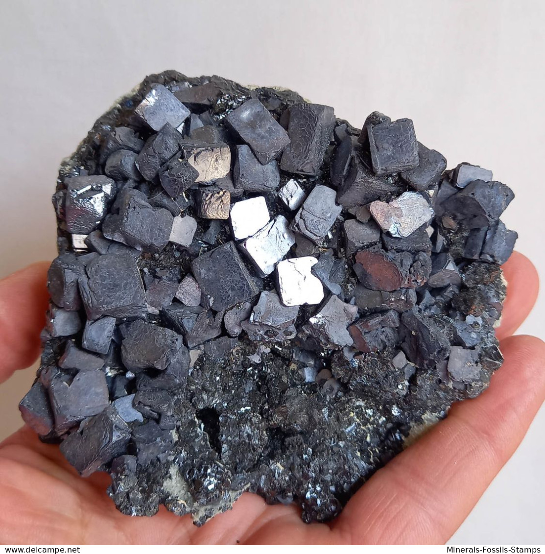 #AUG04.02 Magnifique GALÈNE Cristaux (Verkhny Mine, Dalnegorsk, Primorskiy Kray, Russie) - Mineralien