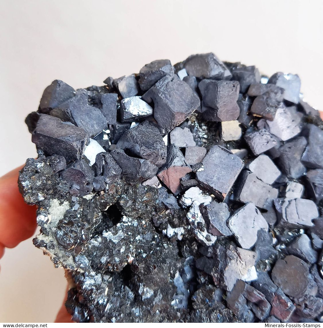 #AUG04.02 Magnifique GALÈNE cristaux (Verkhny Mine, Dalnegorsk, Primorskiy Kray, Russie)
