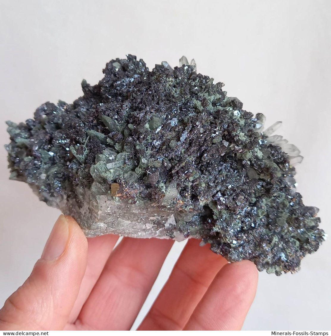 #AUG04.03 Splendida GALENA, Quarzo Prasio Cristalli (Verkhny Mine, Dalnegorsk, Primorskiy Kray, Russia) - Minerals