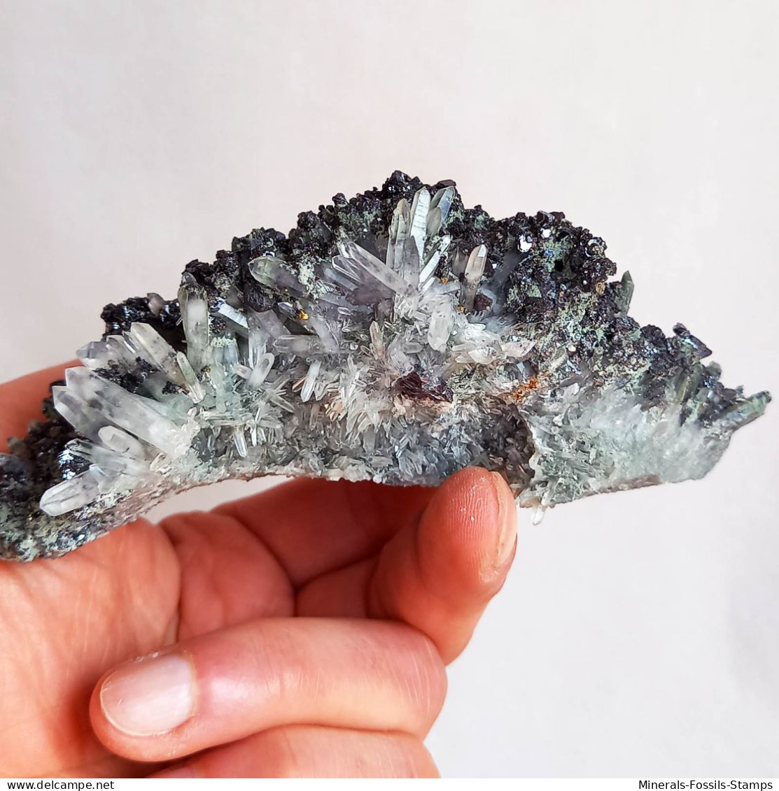 #AUG04.03 Splendida GALENA, Quarzo Prasio Cristalli (Verkhny Mine, Dalnegorsk, Primorskiy Kray, Russia) - Minerali