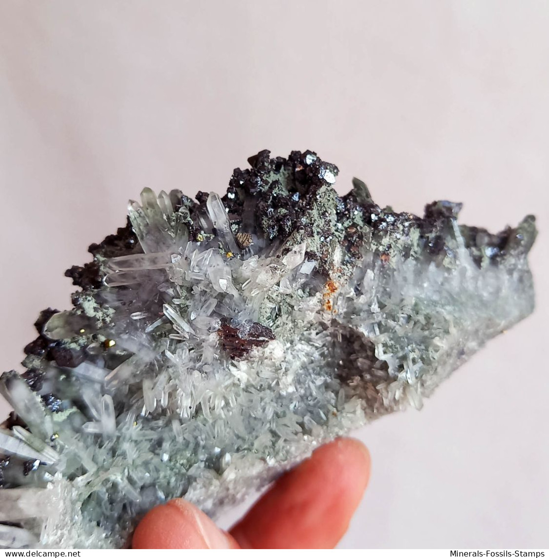 #AUG04.03 Splendida GALENA, Quarzo Prasio cristalli (Verkhny Mine, Dalnegorsk, Primorskiy Kray, Russia)