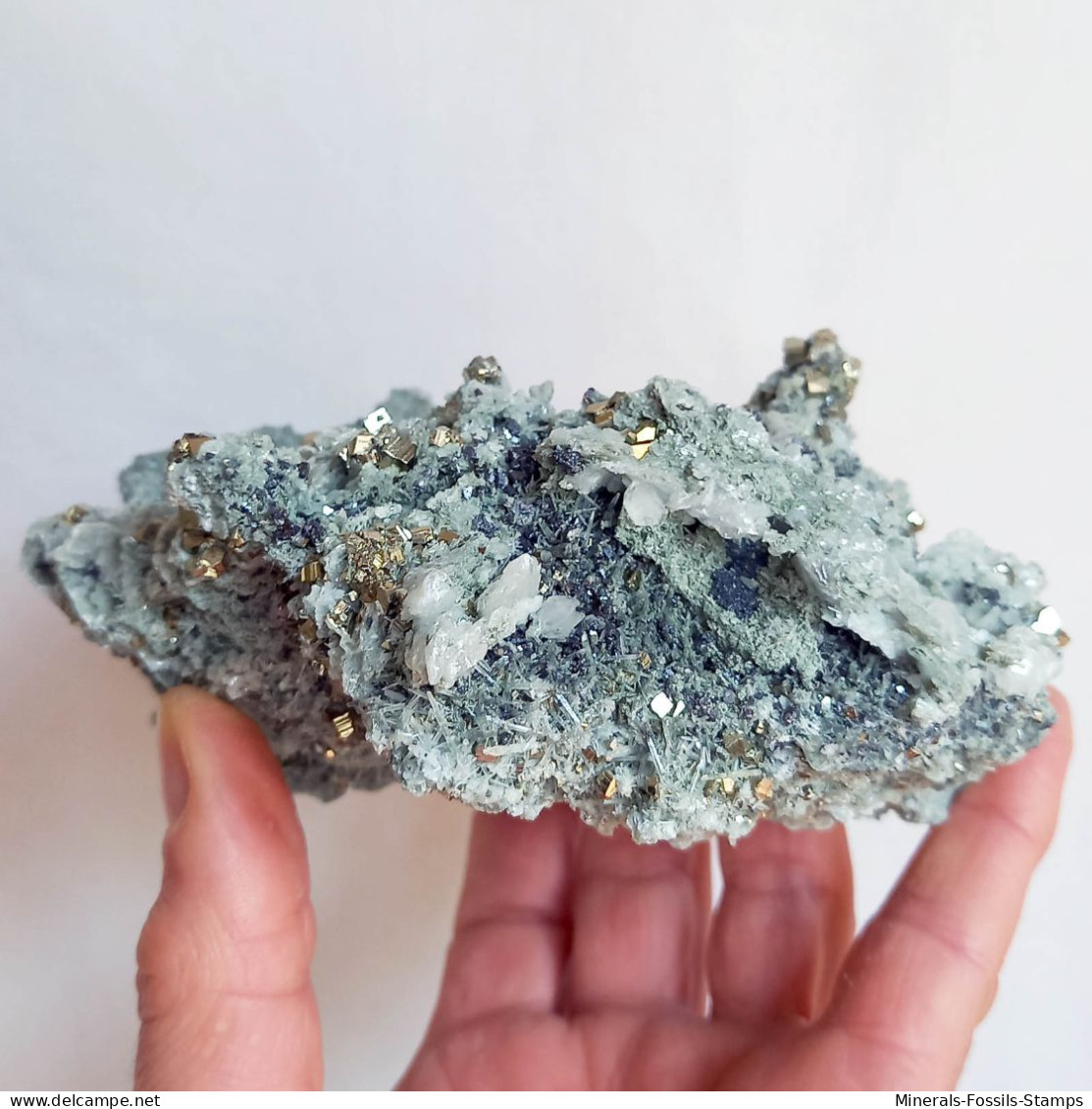 #AUG04.04 Schöne PYRIT, Quarz, Calcit Kristalle (Sadovoe Mine, Dalnegorsk, Primorskiy Kray, Russland) - Mineralien