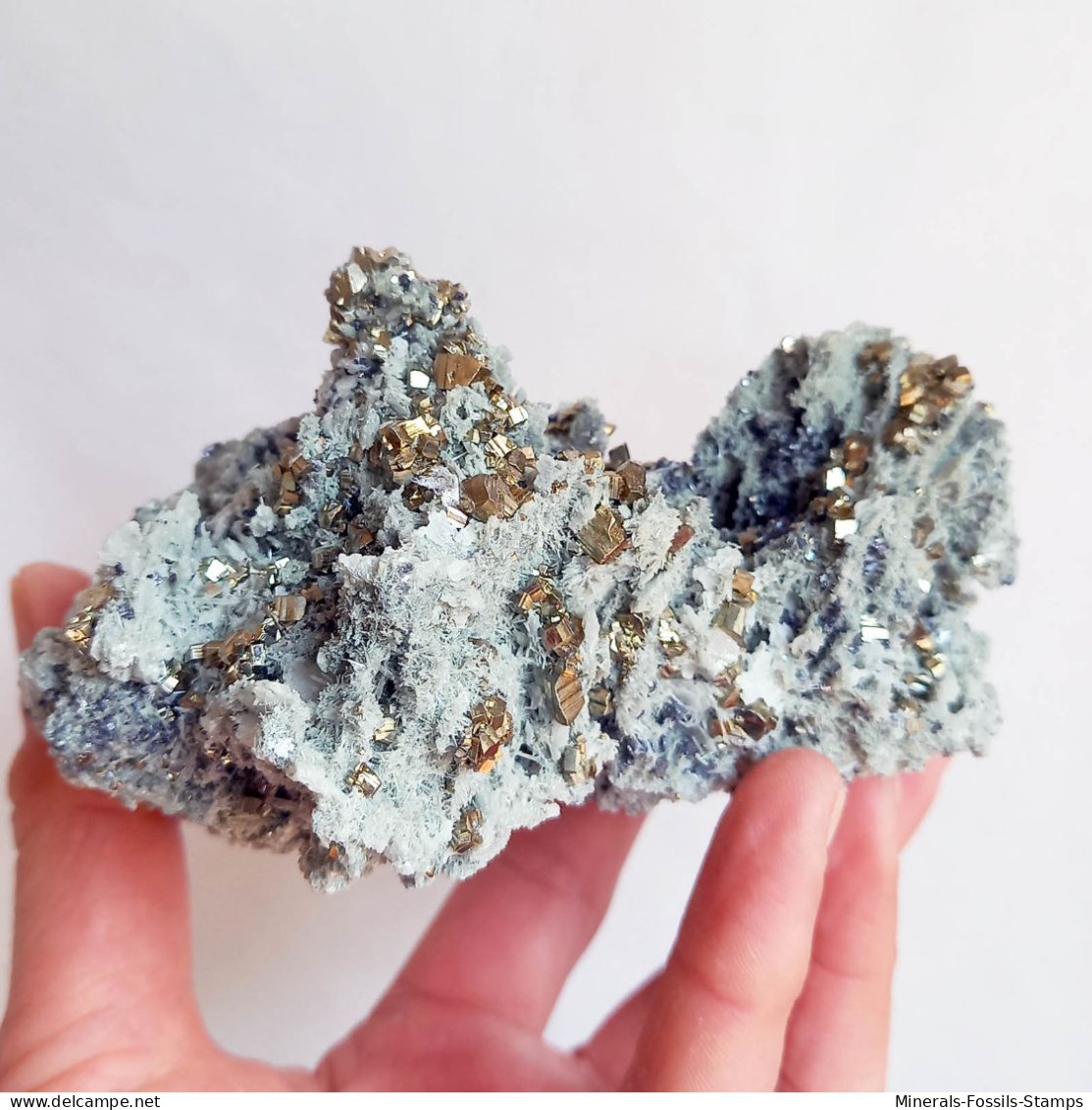 #AUG04.04 Schöne PYRIT, Quarz, Calcit Kristalle (Sadovoe Mine, Dalnegorsk, Primorskiy Kray, Russland) - Minerals