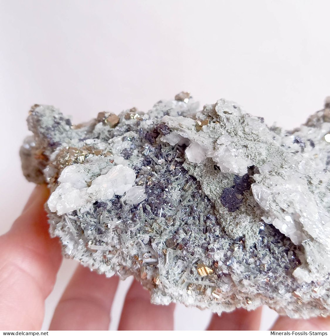 #AUG04.04 Schöne PYRIT, Quarz, Calcit kristalle (Sadovoe Mine, Dalnegorsk, Primorskiy Kray, Russland)