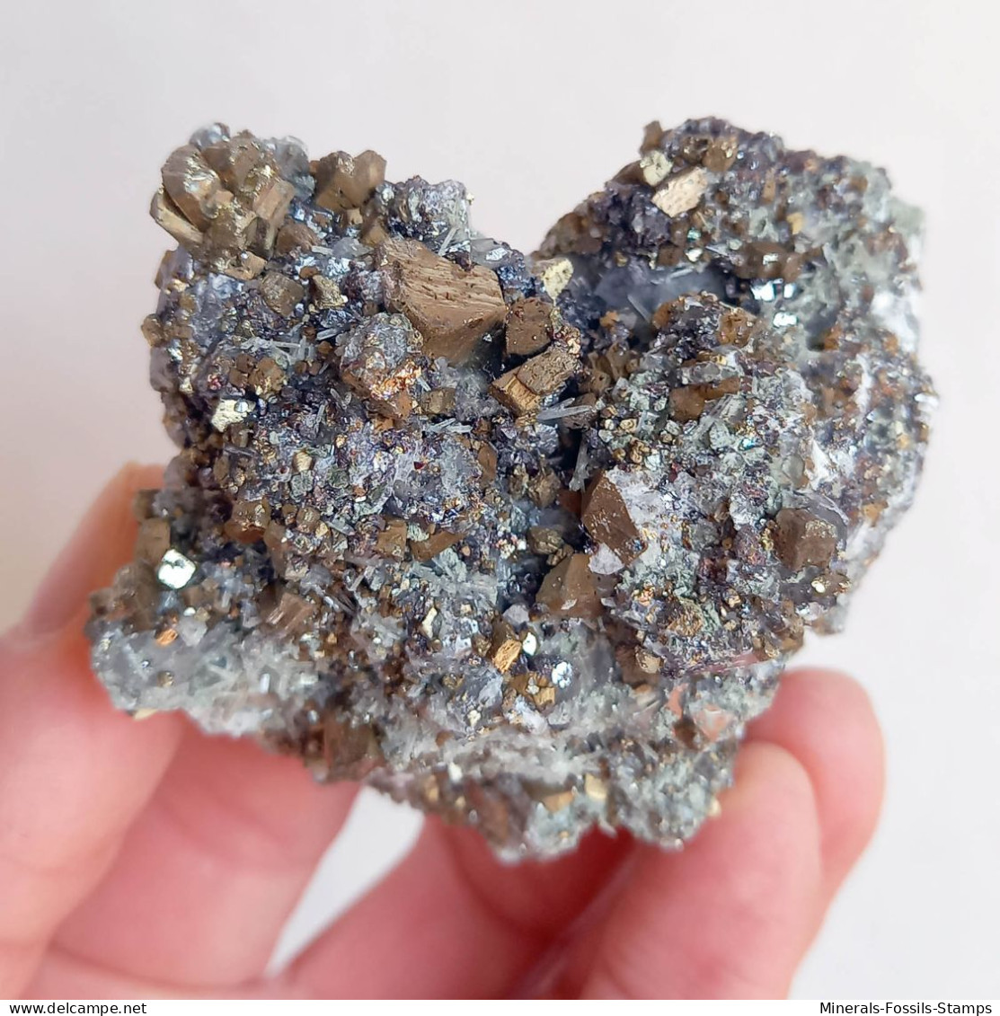 #AUG04.05 Bella PIRITE, Quarzo Cristalli (Sadovoe Mine, Dalnegorsk, Primorskiy Kray, Russia) - Minerali