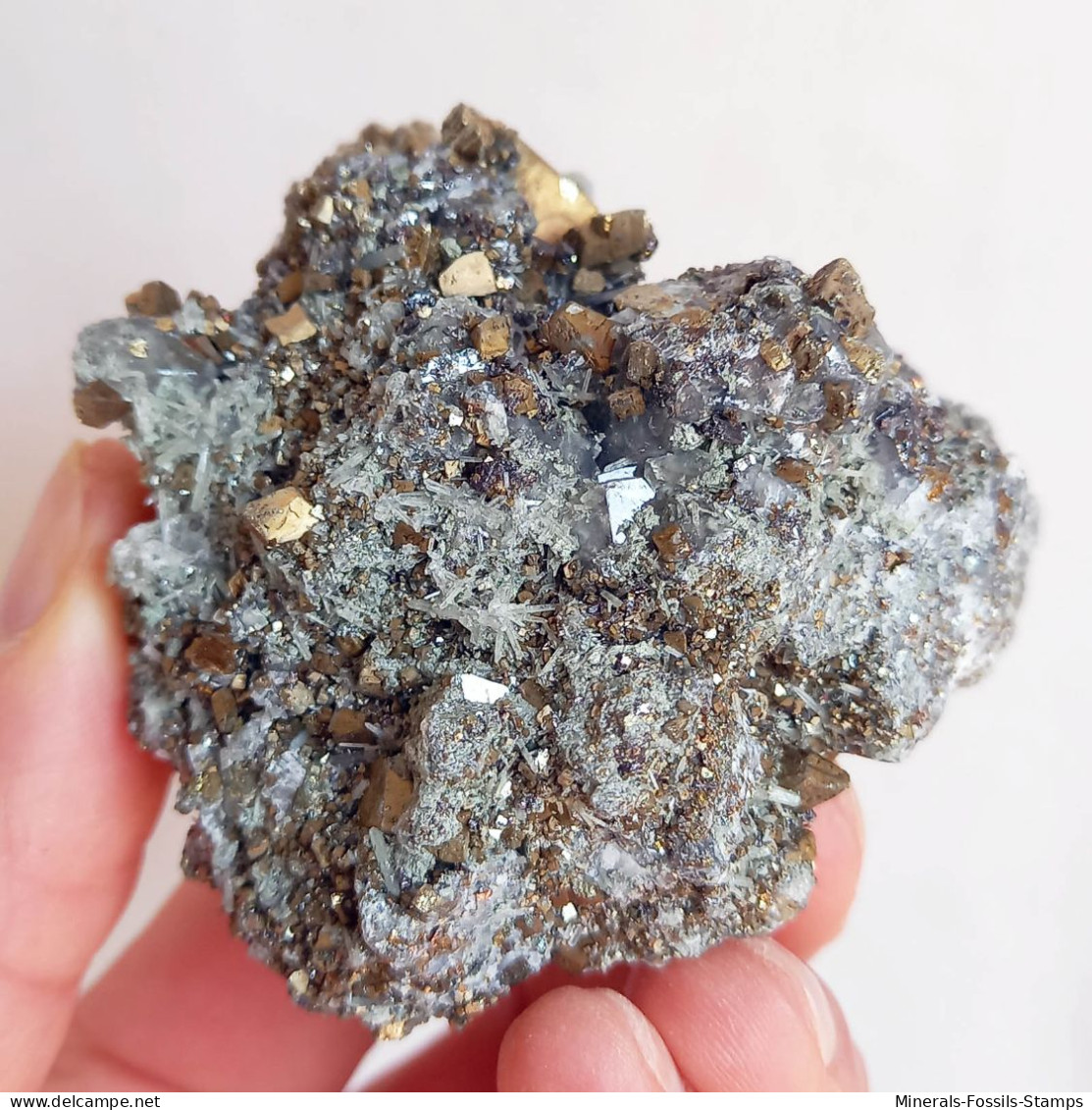 #AUG04.05 Bella PIRITE, Quarzo Cristalli (Sadovoe Mine, Dalnegorsk, Primorskiy Kray, Russia) - Minerals