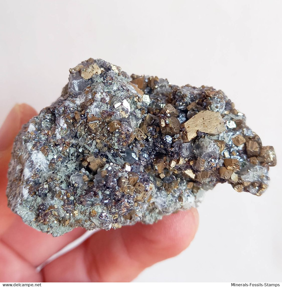 #AUG04.05 Bella PIRITE, Quarzo Cristalli (Sadovoe Mine, Dalnegorsk, Primorskiy Kray, Russia) - Minerales