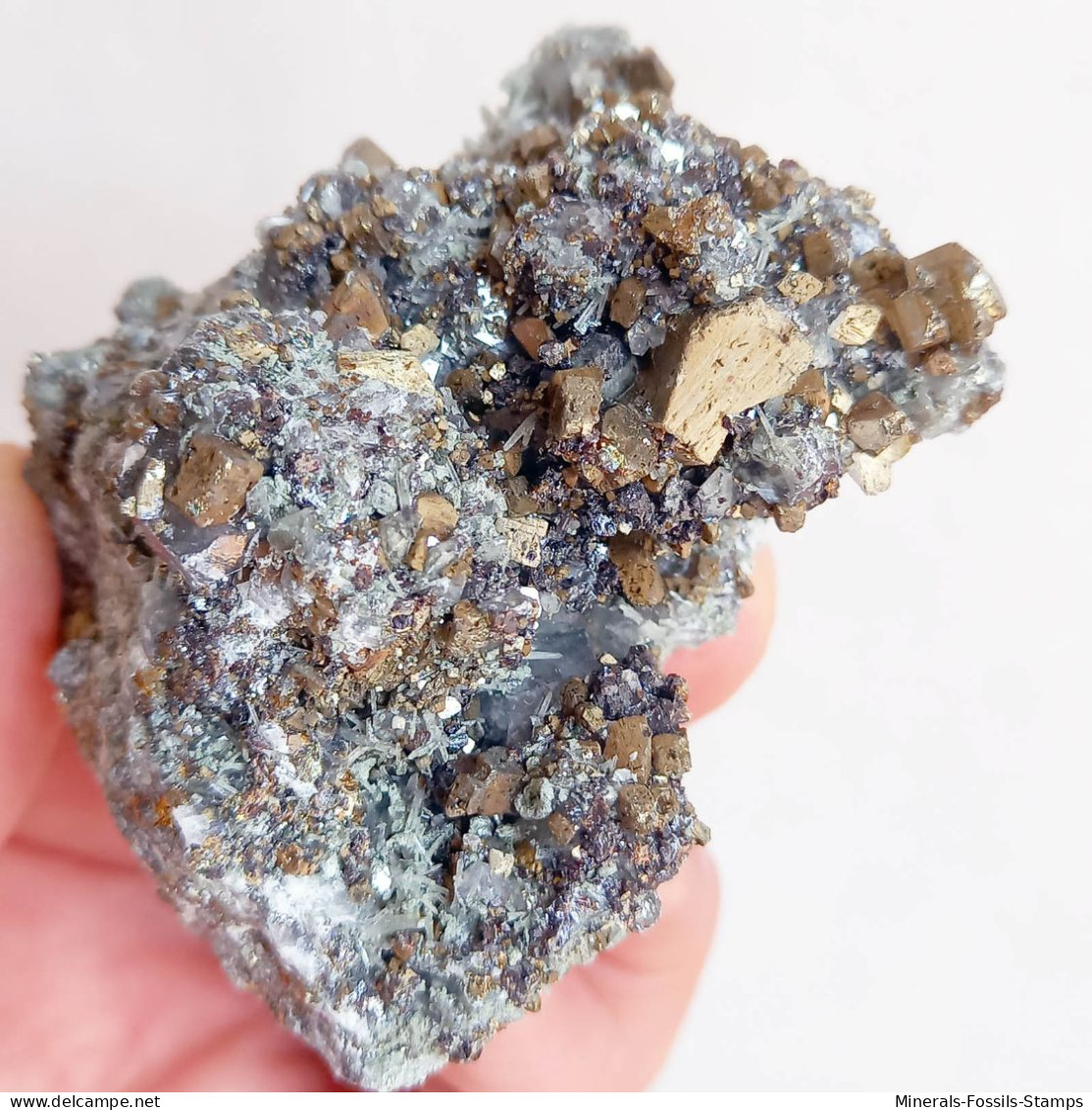 #AUG04.05 Bella PIRITE, Quarzo Cristalli (Sadovoe Mine, Dalnegorsk, Primorskiy Kray, Russia) - Mineralen