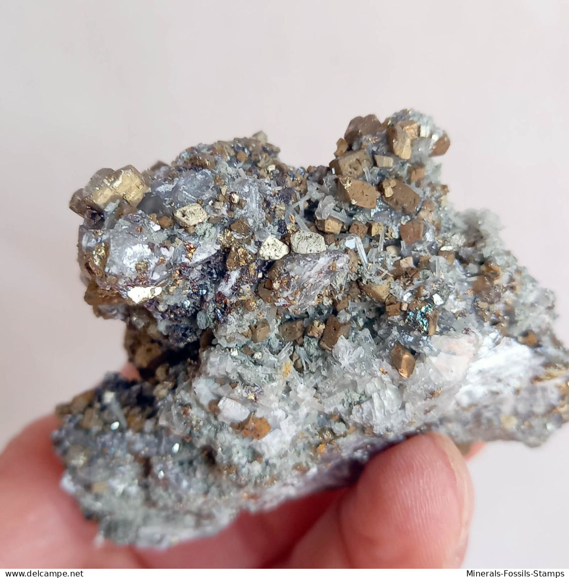 #AUG04.05 Bella PIRITE, Quarzo Cristalli (Sadovoe Mine, Dalnegorsk, Primorskiy Kray, Russia) - Minerals